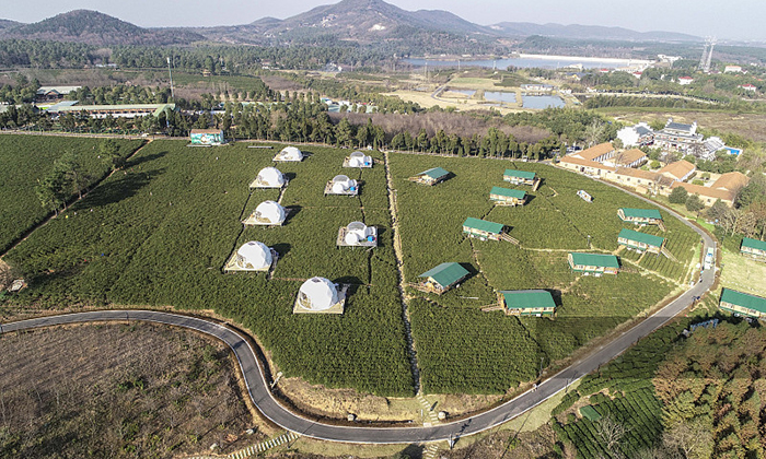 奢野露營帳篷